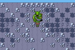 Rayquaza at the top of the Sky Pillar.