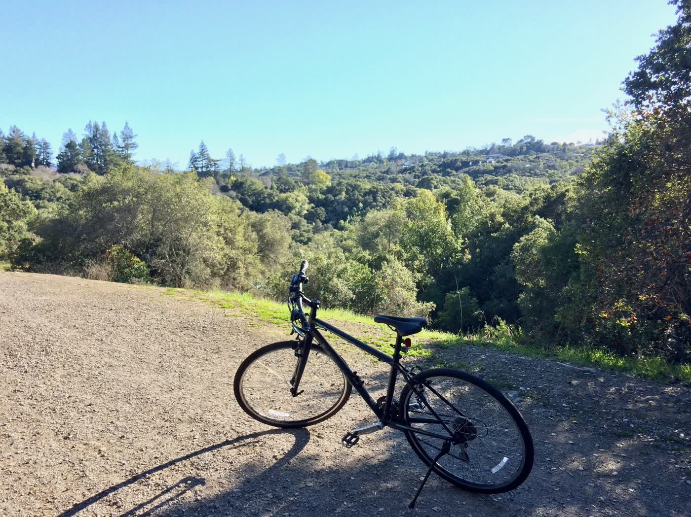 A bike on a dirt path at the top of a highly forested hilltop, overlooking the treetops.